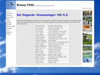 breezy.ch Webseite Vorschau