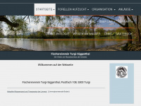 fvts.ch Webseite Vorschau