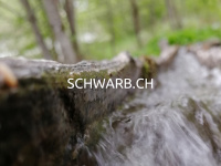 Schwarb.ch