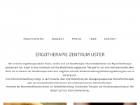 ergouster.ch Webseite Vorschau