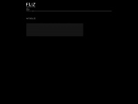 fliz.ch Webseite Vorschau