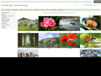 librivita.ch Webseite Vorschau