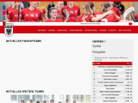 teamaarau.ch Webseite Vorschau