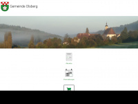 olsberg.ch Webseite Vorschau