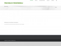 eschbach.ch Webseite Vorschau
