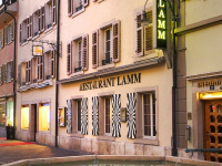 lamm-laufen.ch Webseite Vorschau