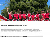 tvseltisberg.ch Webseite Vorschau