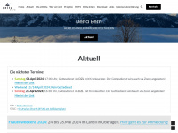 delta-bern.ch Webseite Vorschau