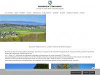 bollodingen.ch Webseite Vorschau