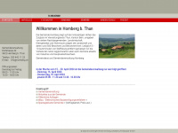 homberg.ch Webseite Vorschau