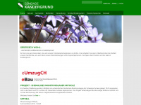 kandergrund.ch Webseite Vorschau