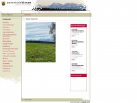 kiesen.ch Webseite Vorschau