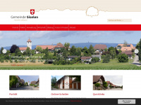 siselen.ch Webseite Vorschau