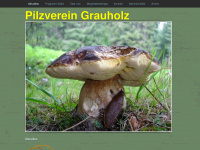 pvgrauholz.ch Webseite Vorschau