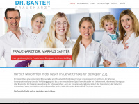 santer.ch Webseite Vorschau
