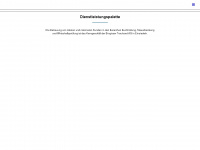 bingisser.ch Webseite Vorschau