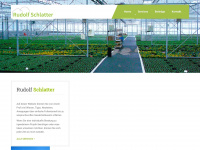r-schlatter.ch Webseite Vorschau