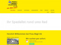 pneu-boegli.ch Webseite Vorschau