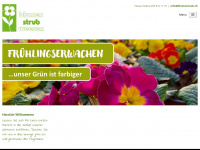 blumenstrub.ch Webseite Vorschau