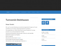 tvsteinhausen.ch Webseite Vorschau