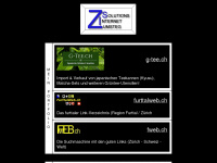 z-i-s.ch Webseite Vorschau