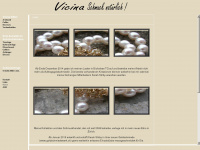 vicina.ch Webseite Vorschau