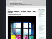 culturprospectiv.ch Webseite Vorschau
