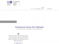 mschurterag.ch Webseite Vorschau