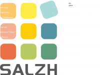 salzh.ch Webseite Vorschau