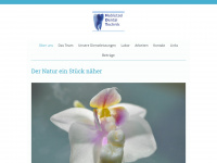 hdt-dental.ch Webseite Vorschau