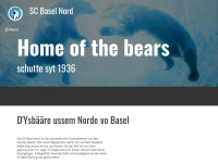 baselnord.ch Webseite Vorschau
