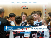 hcbuelach.ch Webseite Vorschau