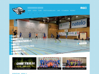 sgpilatus-handball.ch Webseite Vorschau