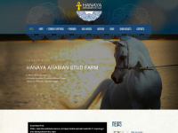 hanayastud.com Webseite Vorschau