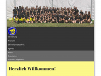 tvwohlen.ch Webseite Vorschau
