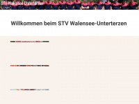 tvwalensee.ch Webseite Vorschau