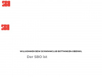 sbo-online.ch Webseite Vorschau
