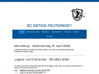 scgsteig.ch Webseite Vorschau