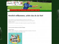 platzger.ch Webseite Vorschau