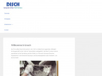 disch-job.ch Webseite Vorschau