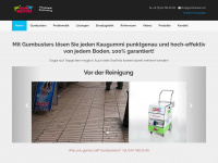 gumbusters.ch Webseite Vorschau