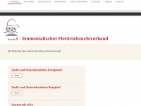 efzv.ch Webseite Vorschau