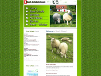 texelschafe.ch Webseite Vorschau