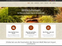 strazzini-marroni.ch Webseite Vorschau