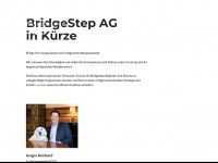 bridgestep.ch Webseite Vorschau