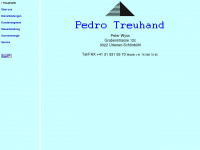 pedrotreuhand.ch Webseite Vorschau