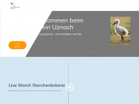 storchenverein-uznach.ch Webseite Vorschau