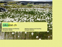 oikostat.ch Webseite Vorschau
