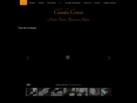 concas.ch Webseite Vorschau
