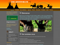 ane-aventure.ch Webseite Vorschau